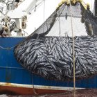 El Gobierno emite el Decreto para retirar el subsidio a la flota industrial.