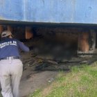 La perrita fue quemada en el sector del intercambidor de Carcelén, en el norte de Quito.