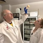 Las moscas revelan la biología de la adicción a la cocaína, llave para impulsar terapias.