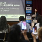 Mesa de bienestar animal.