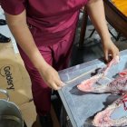 Personal técnico del Ministerio de Ambiente realizó los exámenes a los cráneos de los animales hallados en un chifa.