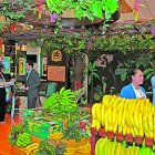 Las exportaciones de bananos crecieron un 3,21 % de enero a abril, en comparación con el mismo período del 2024.