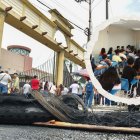 El comienzo de clases, en mayo, fue convulsionado en la Universidad Agraria. Hubo protestas y el Consejo Universitario destituyó, en junio, a la rectora Tamara Borodulina.