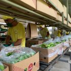 Ventas. Con envíos que crecen un 27 % este año, las exportaciones son el principal motor de recuperación.