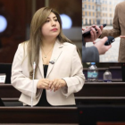 Inés Alarcón, asambleísta de ADN, aseguró que los periodistas no tendrán que revelar los nombres de sus fuentes, antes de la votación de la Ley de Inteligencia.