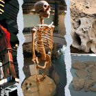 La historia del gigante de Loja sigue viva fuera del país, mientras en Ecuador cae en el olvido.