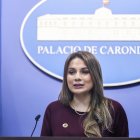 La vocera oficial del Gobierno, Carolina Jaramillo, informó que el servicio eléctrico estará garantizado.