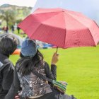 En el Parque Bicentenario, en el norte de Quito, está previsto un festival musical.