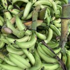 Además de la enfermedad, la elevación del precio del verde tiene su origen en otros motivos.