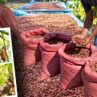 El programa Empleo Agro Joven busca impulsar emprendimientos rurales sostenibles liderados por jóvenes de Manabí y Napo.