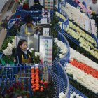 El sector floricultor, aunque con una ligera disminución del 2% en valor (USD 115 millones), mantuvo un crecimiento del 7% en volumen