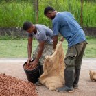 Los jóvenes seleccionados accederán a capacitación técnica certificada, alianzas estratégicas con actores del sector, y podrán recibir cofinanciamiento.