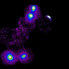 Espacio. Nuevo filamento que conecta cuatro cúmulos de galaxias: dos en un extremo y dos en el otro.