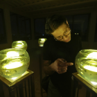 De la música punk a las galerías de arte: La historia de Boris Saltos y su nueva exposición tenebrosa. ¿Qué hay detrás de sus obras?