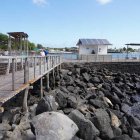 Se contempla la construcción de muelles en Santa Cruz y San Cristóbal, adaptados para recibir carga con medidas de bioseguridad.