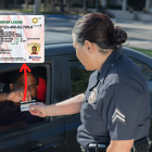 Nuevos conductores en Florida deberán completar un curso de educación vial antes de obtener su licencia