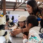 Alternativas para que niñas, niños y jóvenes se desarrollan en los museos de la capital.