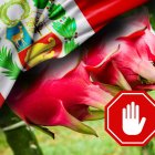 Agrocalidad y productores trabajan para restablecer el acceso de la pitahaya al mercado peruano