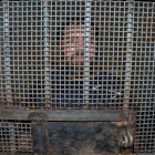 La cooperación entre Colombia y Ecuador fue clave en la operación contra alias “Fito”, tras la orden de captura emitida en Davos.