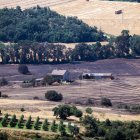 Vista de una de las zonas quemadas por el primer gran incendio forestal del año en España.