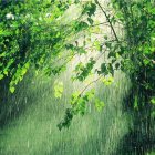 Gobierno activa plan de emergencia y asistencia urgente en la Amazonía ecuatoriana.