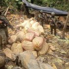 Incautación. El Ejército destruyó el material aurífero y maquinaria, en Mina Vieja donde falleció un militar por una trampa explosiva.