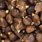 La pepa de pan es el fruto del árbol Artocarpus altilis, originario del sudeste asiático y muy común en zonas tropicales, como Esmeraldas.