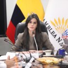 Diana Jácome, presidenta de la Comisión de Transparencia hizo el pedido al CAL para llevar la investigación de la entrega de bonos a su mesa legislativa.