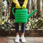 Este es el horario perfecto para regar tus plantas y que crezcan sanas