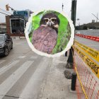 El colectivo Rescate Animal asegura que la construcción de dos pasos a desnivel en Los Ceibos, suspendida el 11 de julio de 2025, desplazará a los animales del bosque del sector.