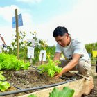 La práctica agrícola transforma la formación universitaria