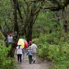 El parque Los Algarrobos es el escenario para que escuelas de Cumbayá organicen campamentos vacacionales y caminatas al aire libre.