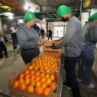 La mandarina de la variedad Tango de Ecuador que se exporta a Estados Unidos.