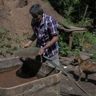 Francisco Osorio trabaja en su mina en el distrito de Serra Pelada, en Curionopolis, estado de Pará, Brasil, el 22 de junio de 2025.