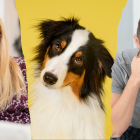 La ley ecuatoriana no estipula nada al respecto de la tenencia de mascotas en caso de divorcio