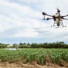 En la Cumbre se expondrá de las ventajas y datos de los drones en la producción agrícola