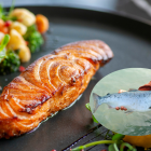 El restaurante Kann en Portland sirve salmón de cultivo celular, replicando sabor y textura sin dañar los océanos