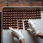 Fotografía de derivados del cacao exhibidos en una finca de Tacarigua, estado Miranda (Venezuela).