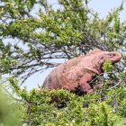 El Gobierno pretende incentivar el turismo local y nacional, con la medida.