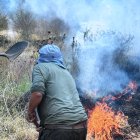 Ciudadano fue sancionado por provocar incendio forestal en Tumbaco, en Quito