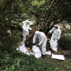 Se identificaron otros nueve punto altamente contaminados.