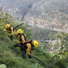 Se limpian los terrenos cubiertos de maleza, hierba seca, ramas y material vegetal acumulado.