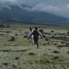 La película fue filmada entre Quito y Cotopaxi, priorizando los espacios naturales.