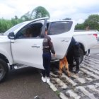 El operativo se ejecutó este 28 de julio en el sector de Pachakutik, Archidona