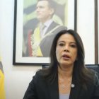 Cynthia Gellibert anunció que liderará el proceso.