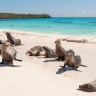 Referencial. Autoridades de Galápagos declaran estado de advertencia y piden extremar precauciones