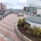 TUNGURAHUA. LAS PLANTAS DESCUIDADAS Y CON MALEZA.
AG-EXTERNO