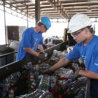 El trabajo de reciclar botellas plásticas.