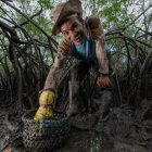 El proyecto Manglares para el Clima, financiado por el Green Climate Fund, tiene como meta en los próximos seis años aumentar la conservación a 150.000 hectáreas