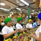 EE.UU. elevó del 10 al 15 % el arancel recíproco para los productos de Ecuador que importe.